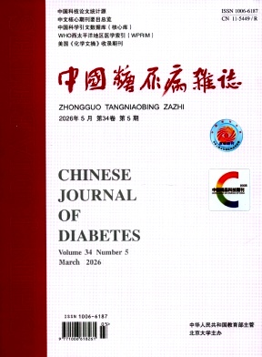中国糖尿病封面